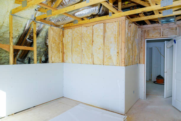 Best DIY Insulation Kits and Guidance in Folkston, GA