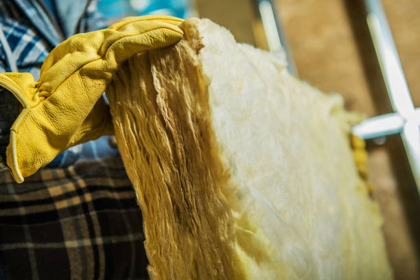 Best Eco-Friendly Insulation in Folkston, GA